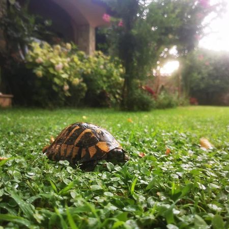 Villa Melograno โมสตาร์ ภายนอก รูปภาพ